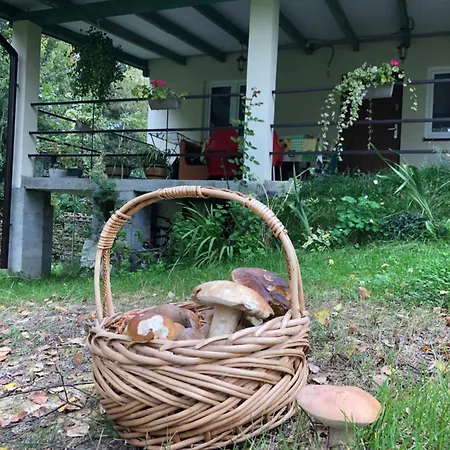 Chez Yaya Bogumiła Szeląg