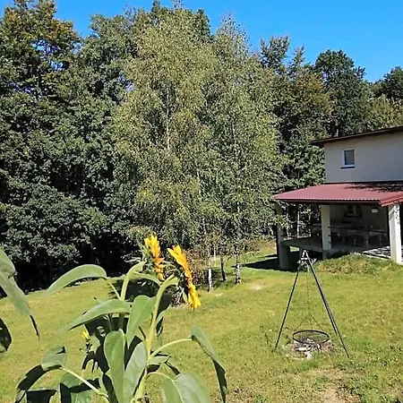 Chez Yaya Bogumila Szelag