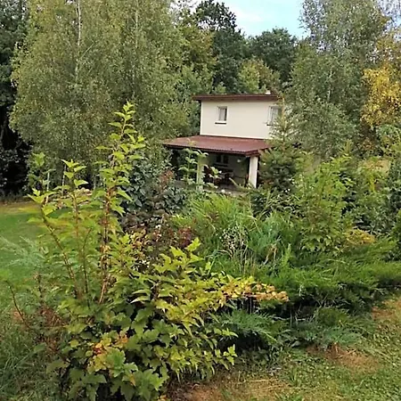 Chez Yaya Bogumila Szelag *