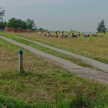 Kompleks wypoczynkowy Chez Yaya Bogumiła Szeląg