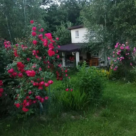 Chez Yaya Bogumiła Szeląg Kompleks wypoczynkowy *