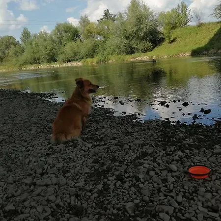 Chez Yaya Bogumiła Szeląg Kompleks wypoczynkowy *